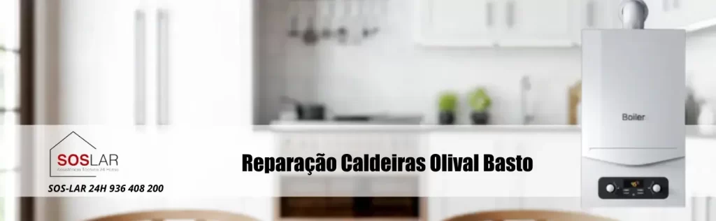 Reparação Caldeiras Olival Basto